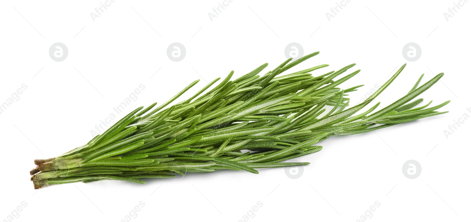 Photo of Fresh green rosemary isolated on white. Aromatic herb