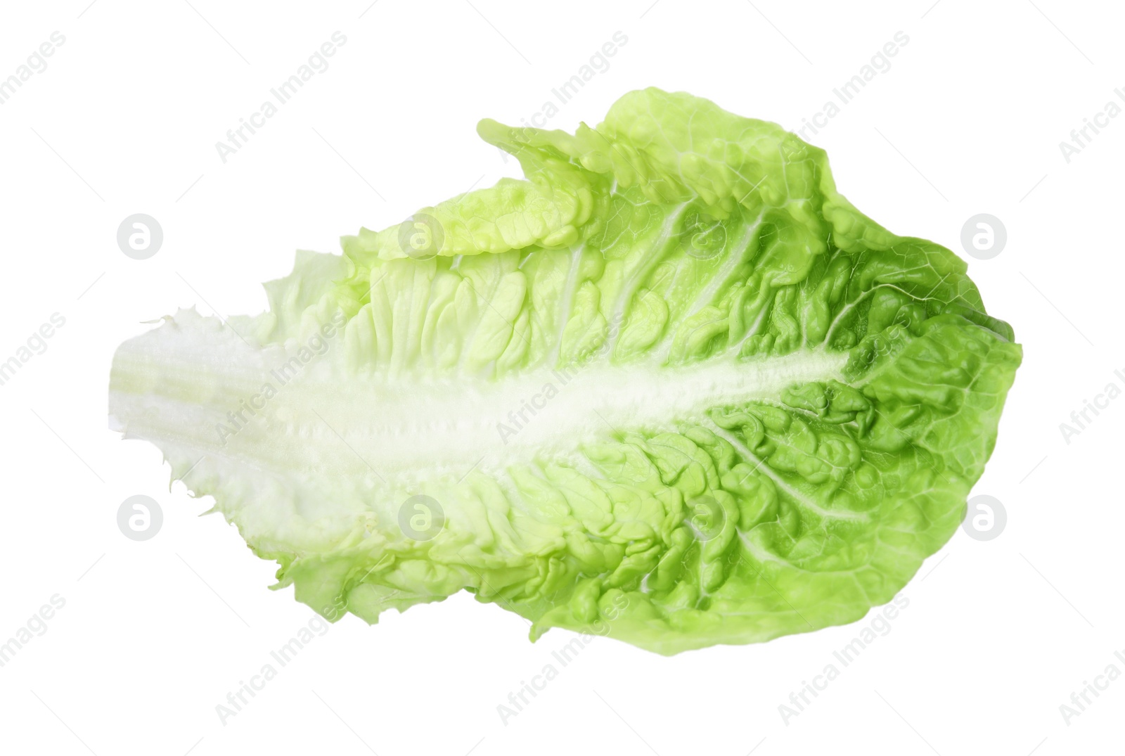 Photo of Fresh leaf of green romaine lettuce isolated on white