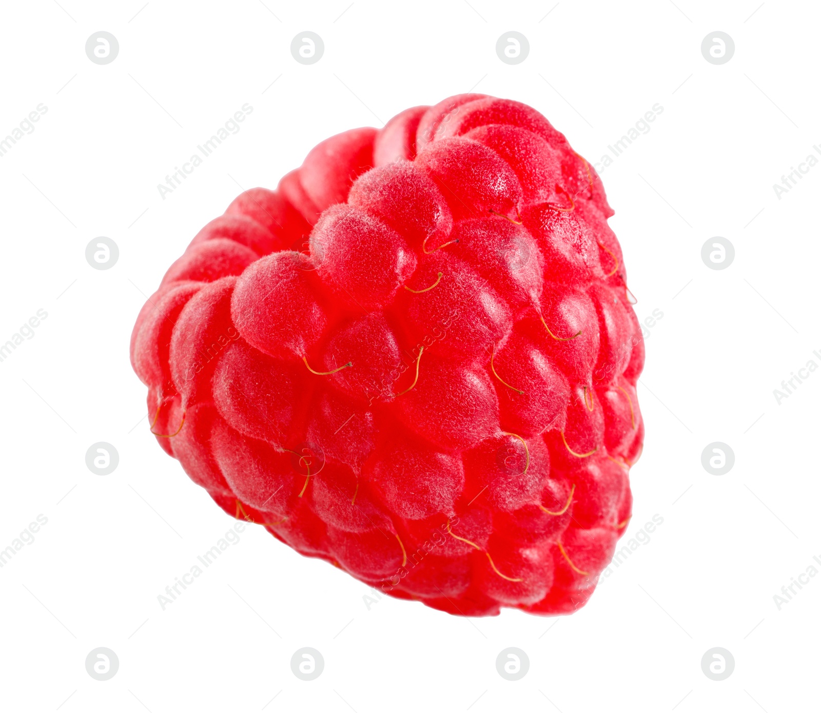 Photo of One tasty ripe raspberry isolated on white