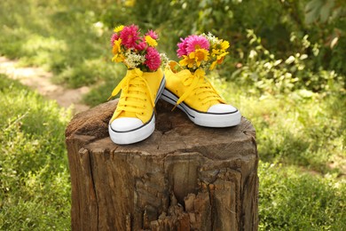 Shoes with beautiful flowers on tree stump outdoors