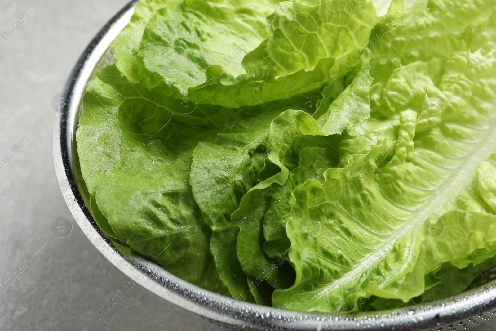 Photo of Colander with fresh leaves of green romaine lettuce on light grey table, closeup