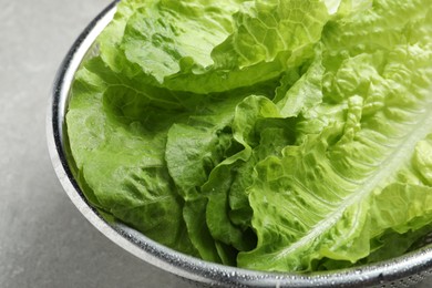 Colander with fresh leaves of green romaine lettuce on light grey table, closeup