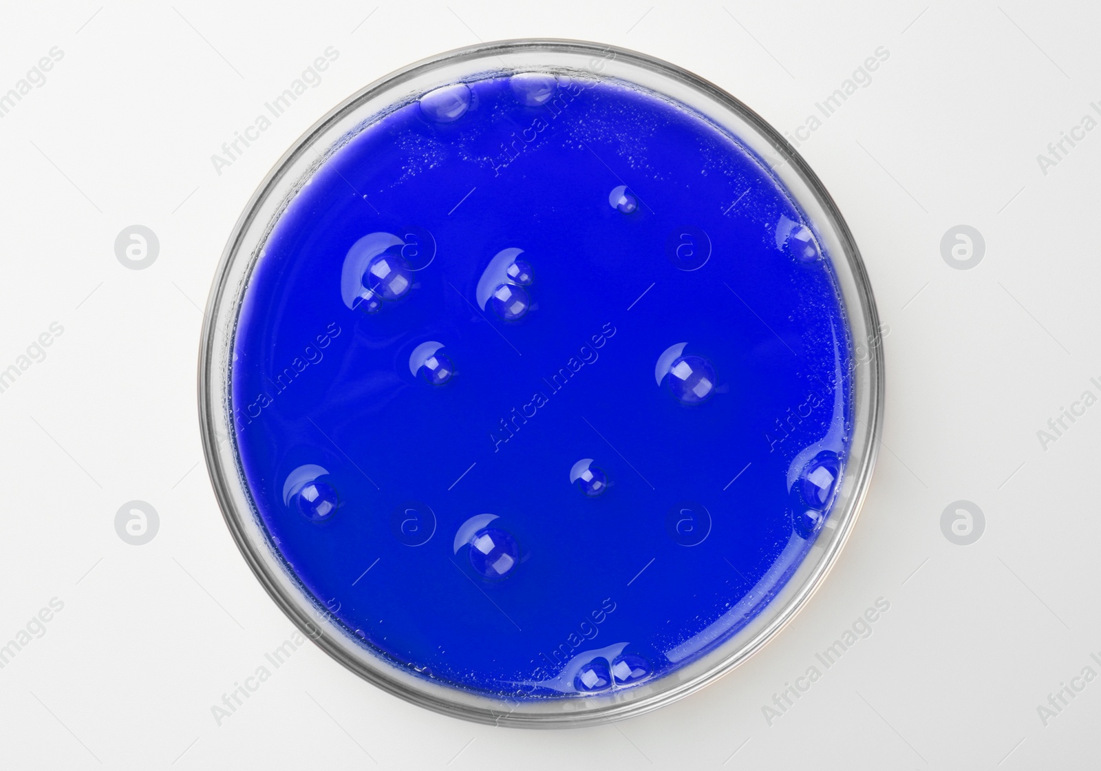 Photo of Petri dish with color liquid sample on white background, top view