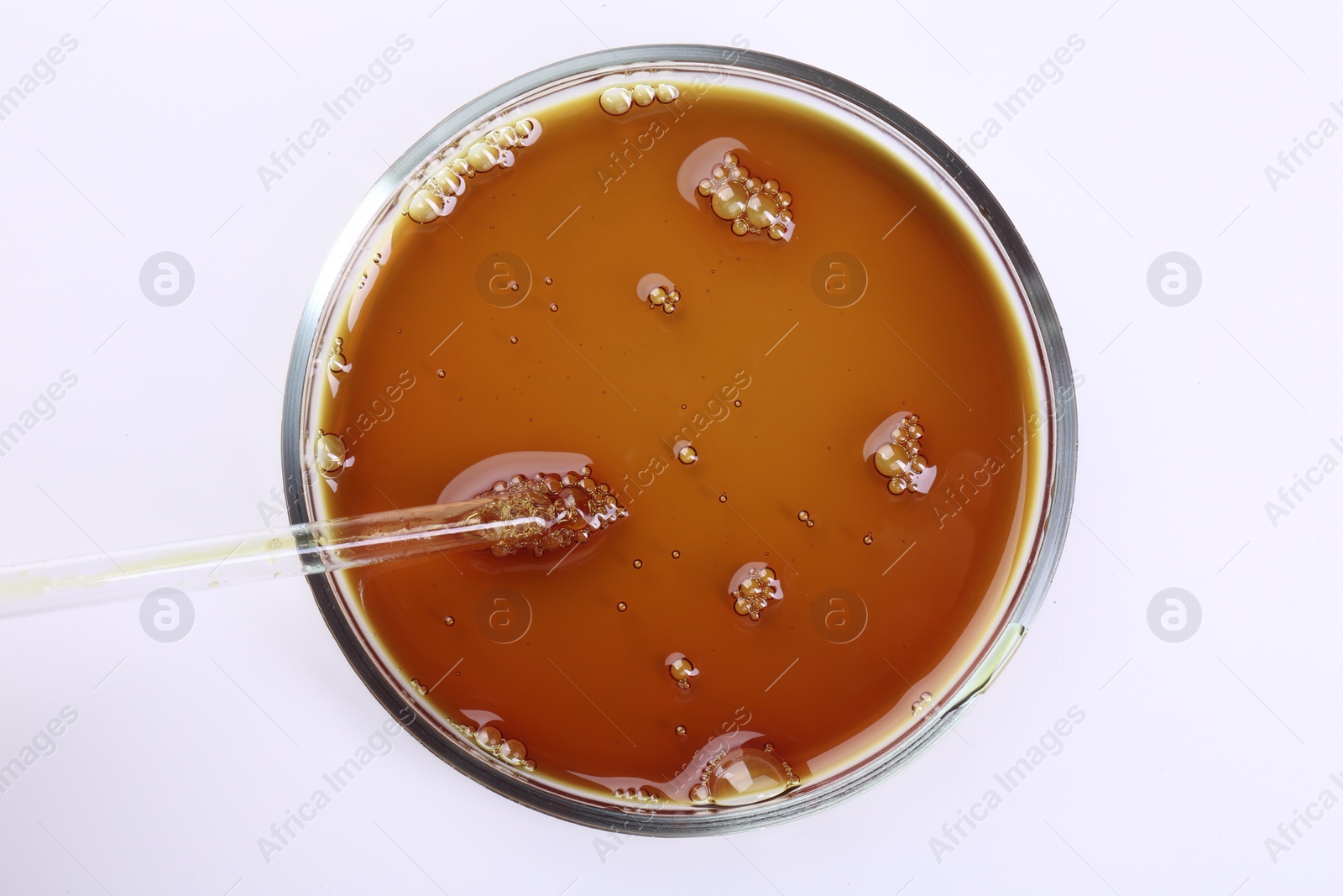 Photo of Petri dish with liquid sample and pipette isolated on white, top view