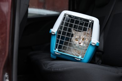 Photo of Travel with pet. Cute cat in carrier inside car