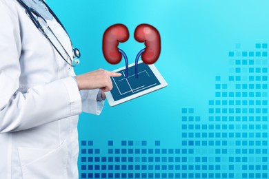 Image of Closeup view of doctor holding modern tablet and illustration of kidneys light blue background, space for text
