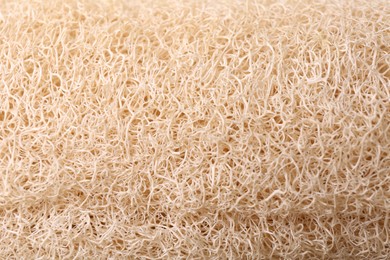 Loofah sponge as background, closeup. Personal hygiene product