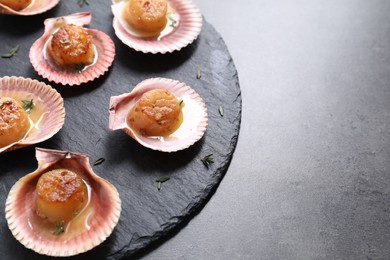 Photo of Delicious fried scallops in shells on grey table, closeup. Space for text