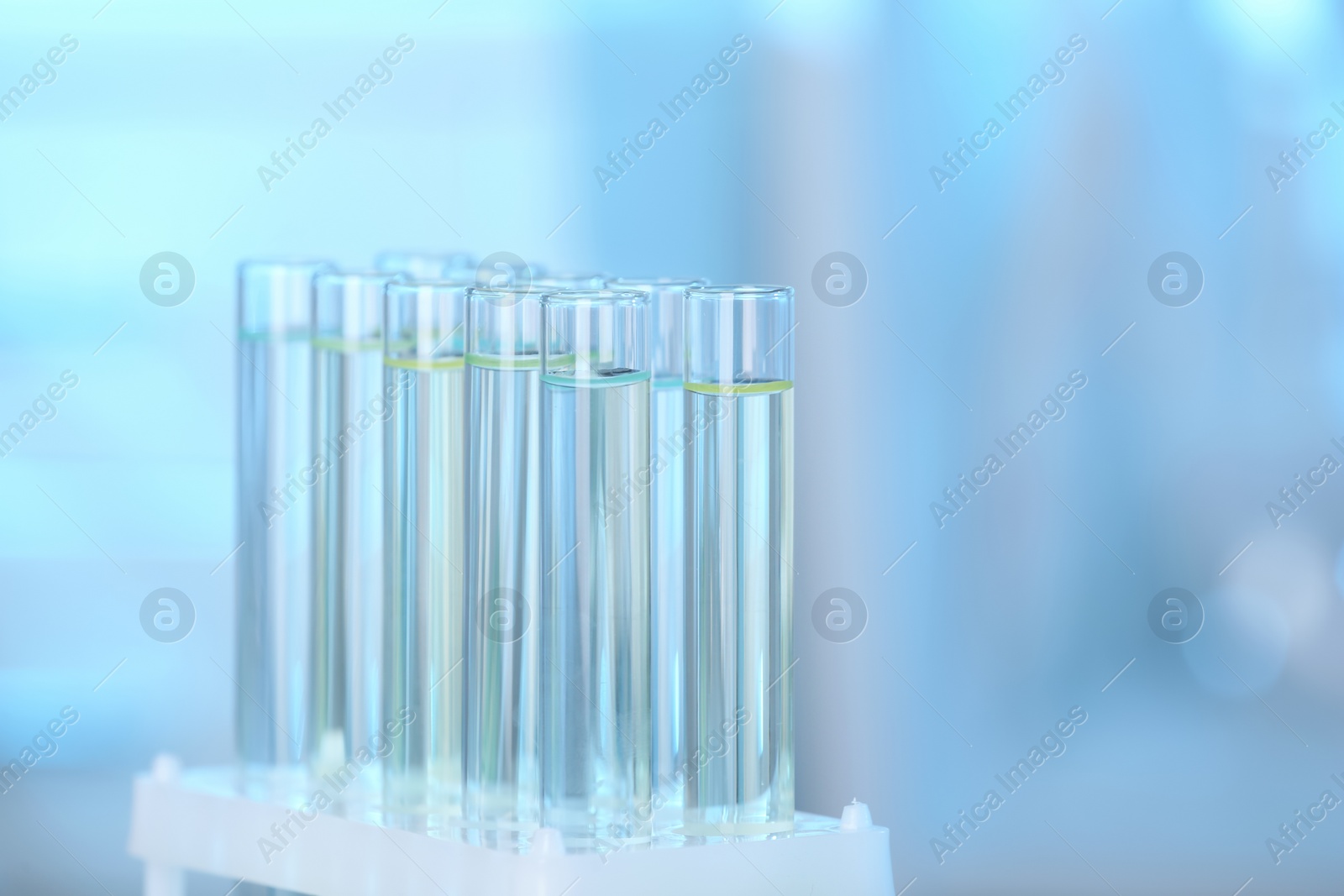 Photo of Holder with test tubes in laboratory. Chemical analysis