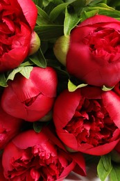 Photo of Beautiful bouquet of red peony flowers, closeup