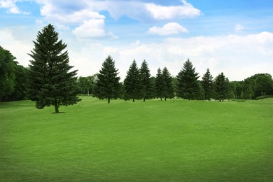 Image of Beautiful view of park with green grass on sunny day