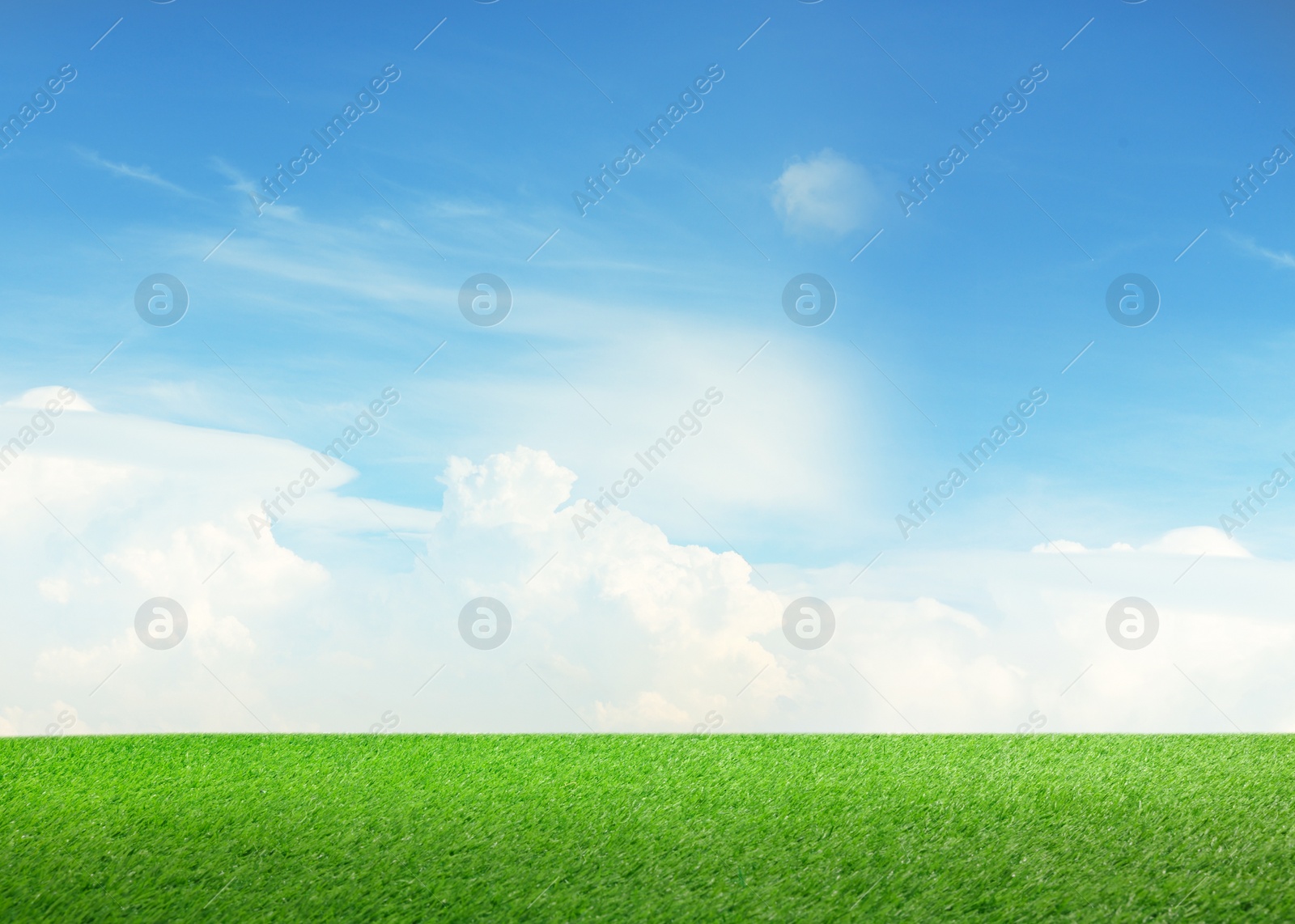 Image of Green grass under blue sky with clouds