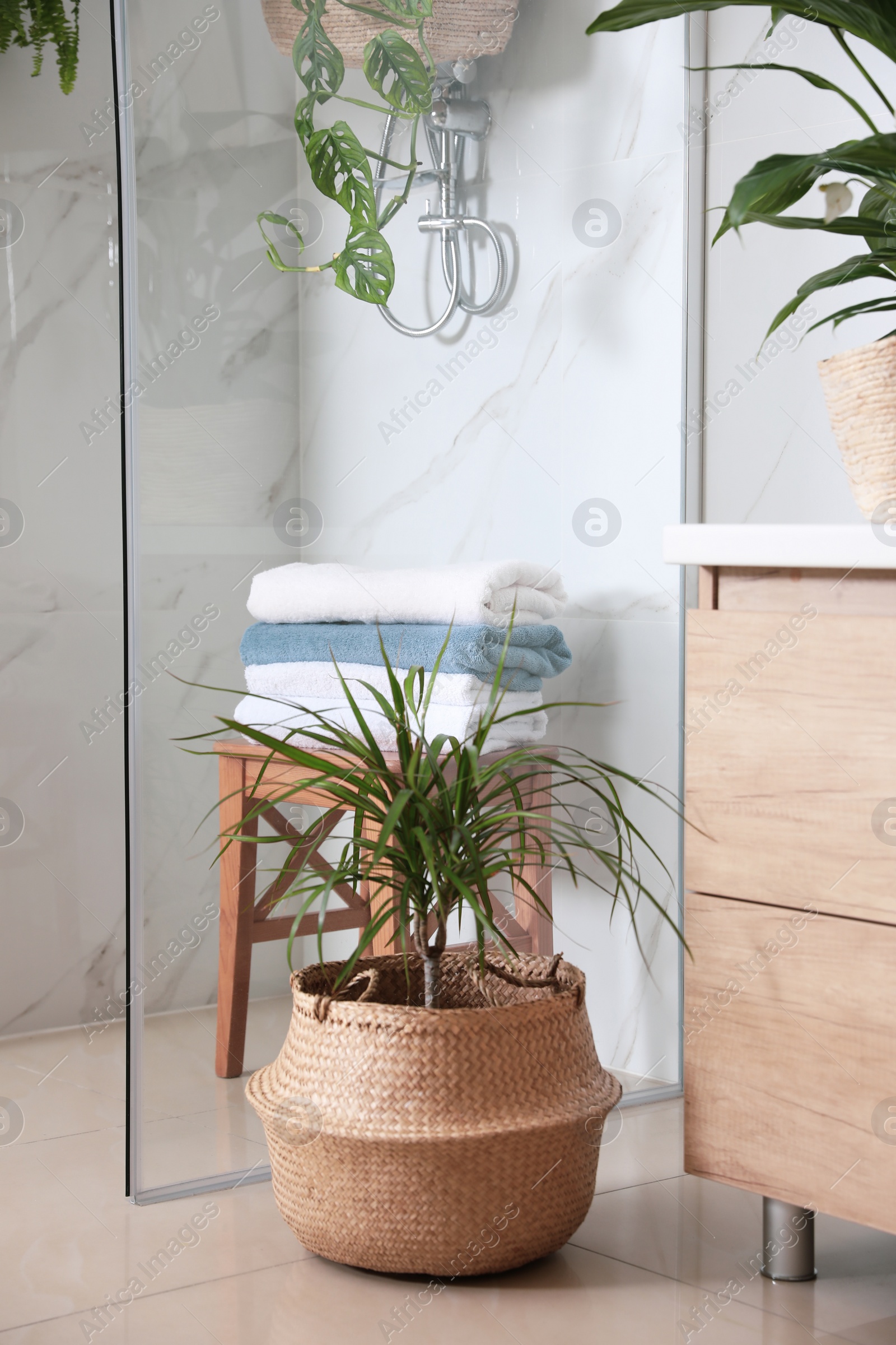 Photo of Green plants in elegant modern bathroom. Interior design