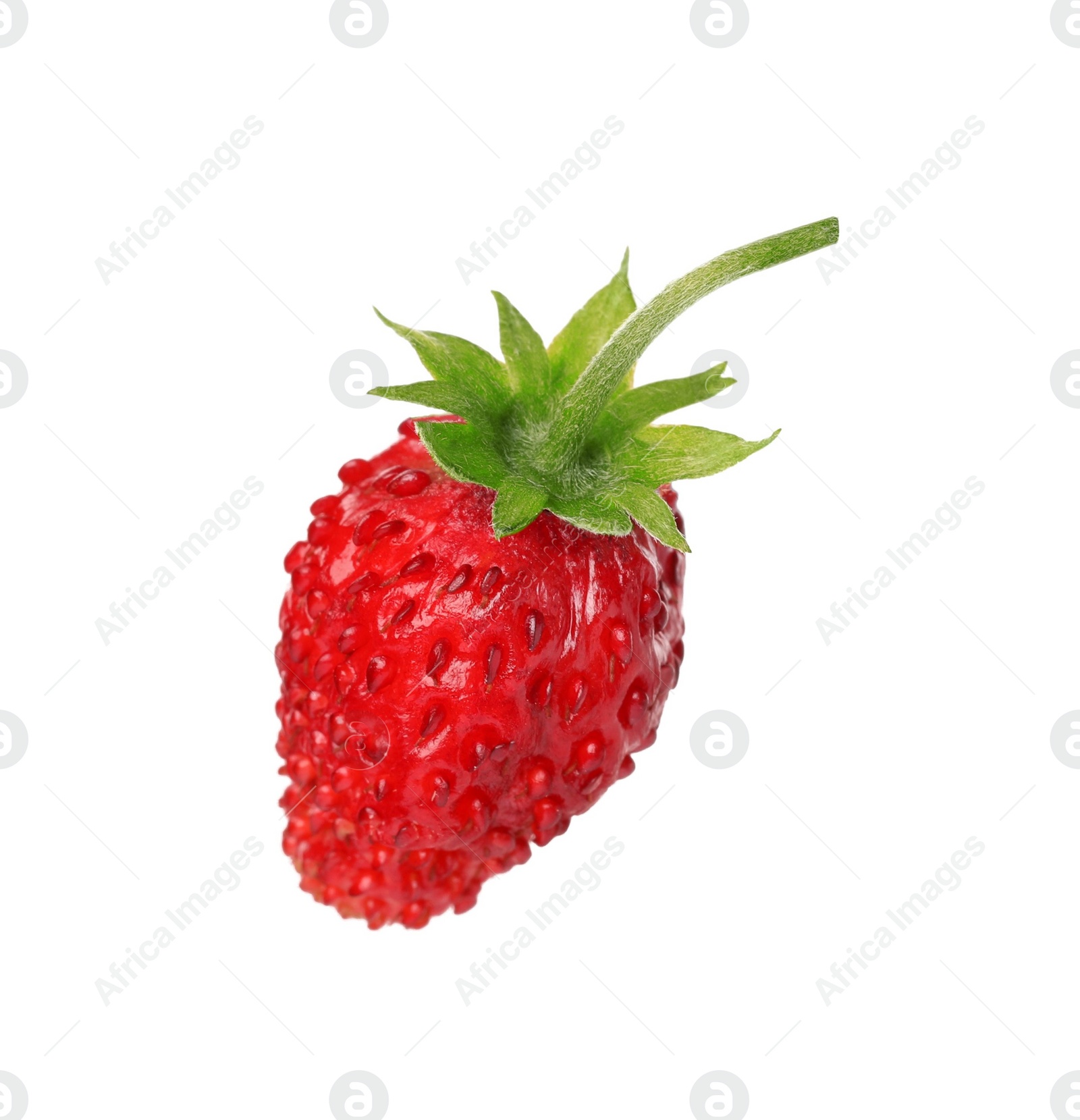 Photo of One ripe wild strawberry isolated on white