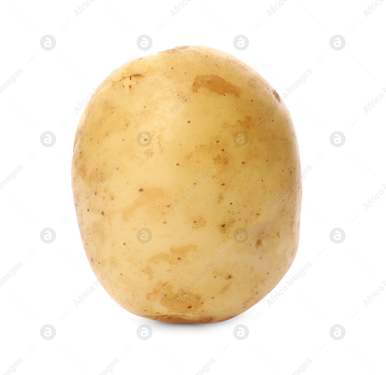 Photo of Delicious young raw potato isolated on white