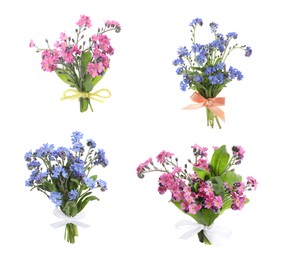Image of Set with beautiful tender forget me not flowers on white background 