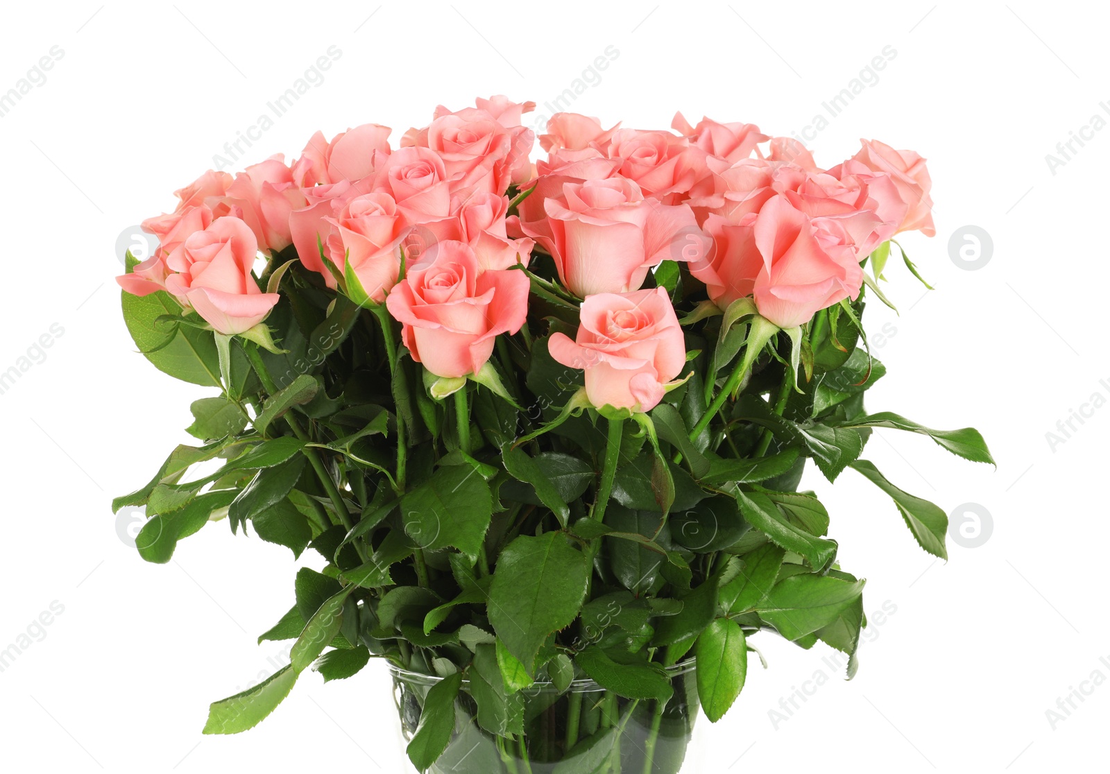 Photo of Bouquet of beautiful roses on white background