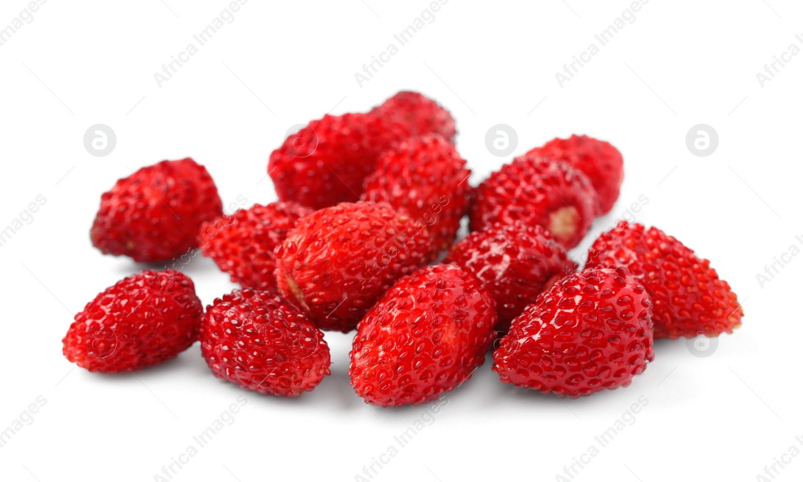 Photo of Ripe red wild strawberries isolated on white