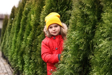 Little girl among plants at Christmas tree market