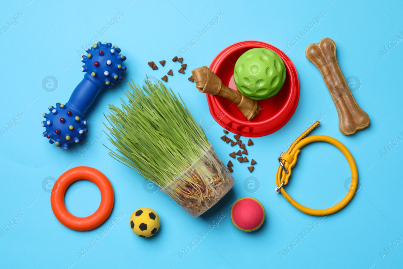 Photo of Flat lay composition with pet toys, food and accessories on light blue background