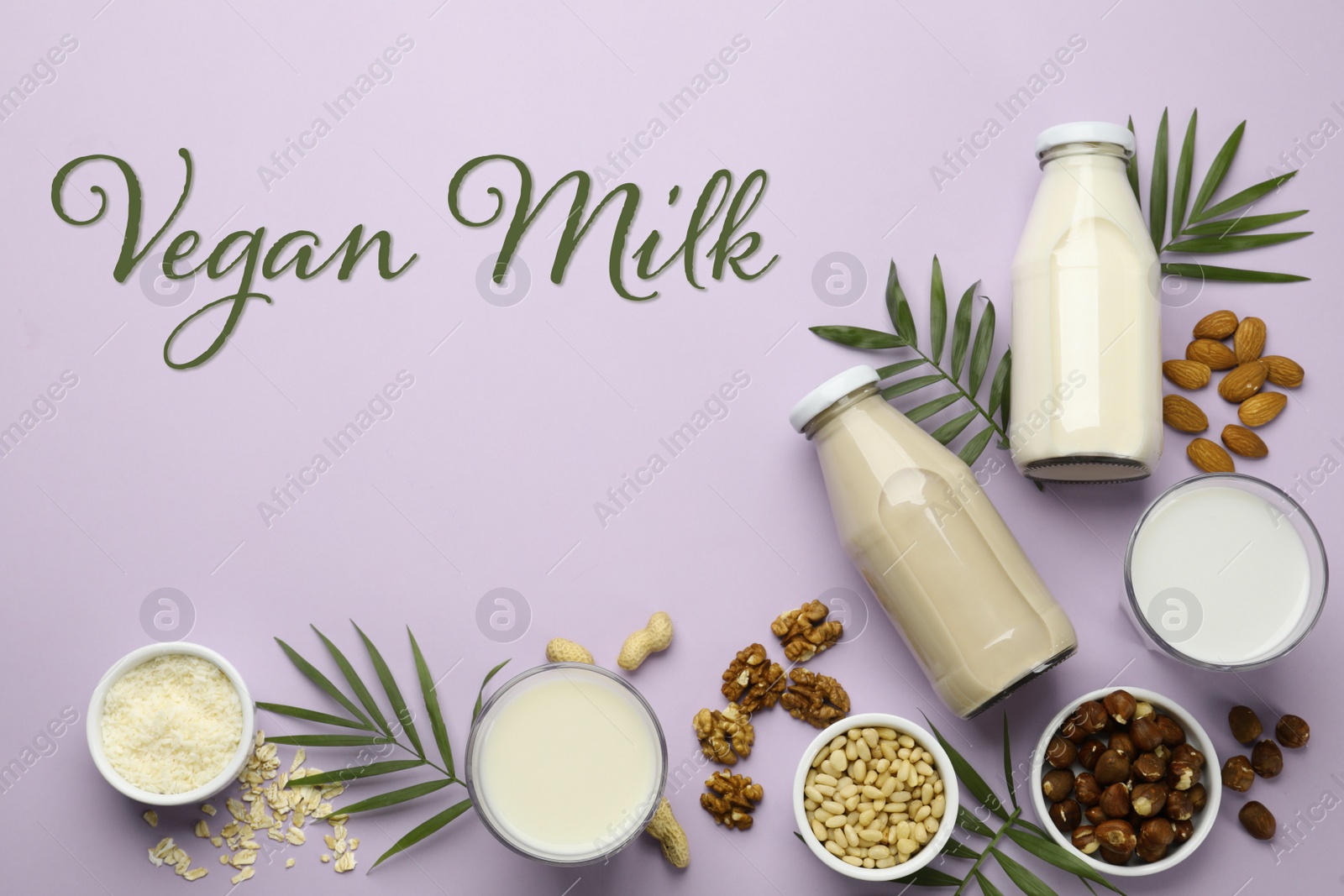 Image of Different organic vegan milks and ingredients on violet background, flat lay