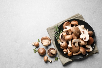 Photo of Flat lay composition with fresh wild mushrooms on light grey table, space for text