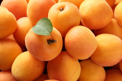 Photo of Delicious ripe sweet apricots with leaf as background, closeup view