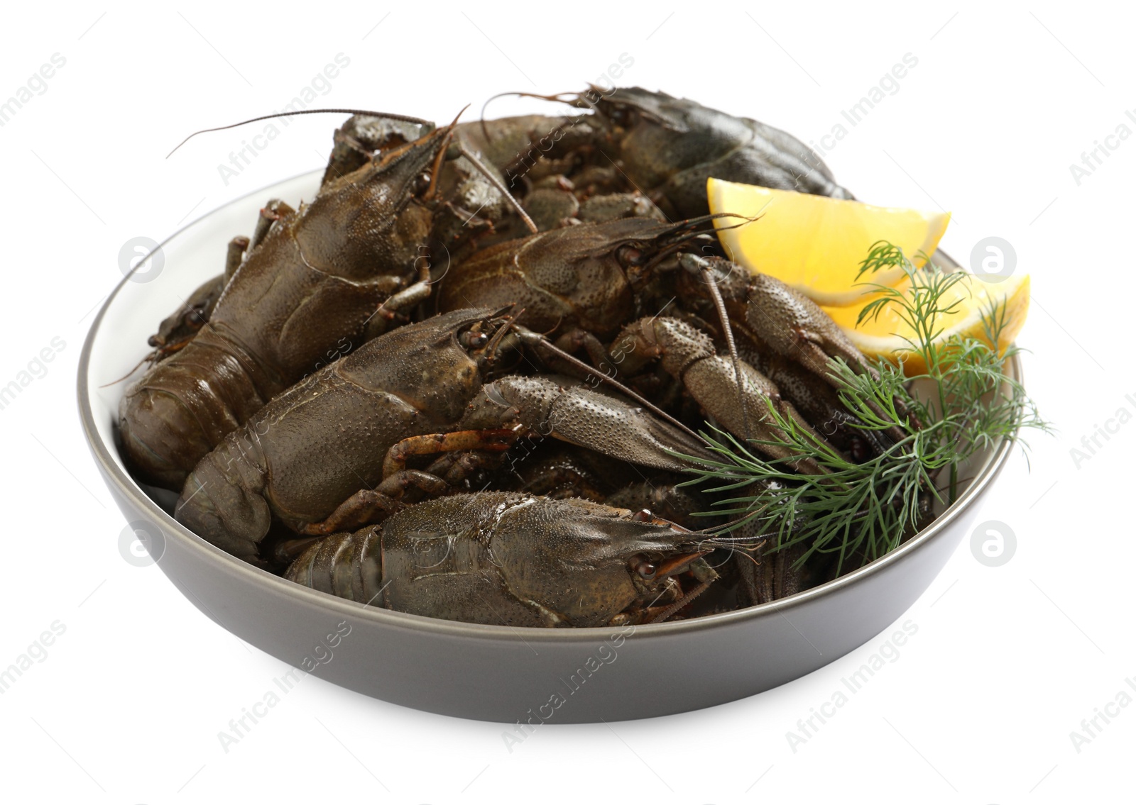 Photo of Fresh raw crayfishes with lemon and dill in bowl on white background