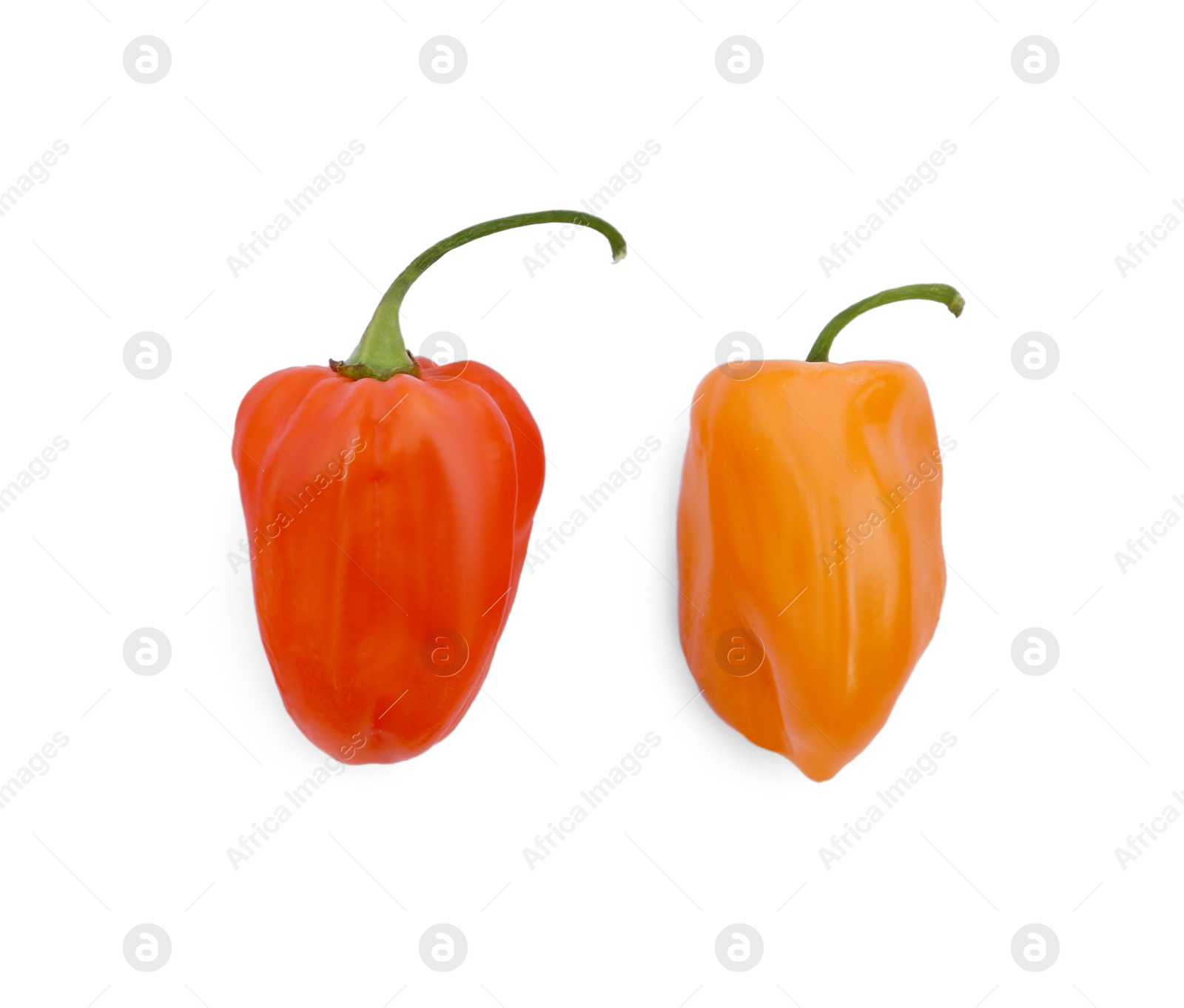 Photo of Fresh raw hot chili peppers isolated on white, top view