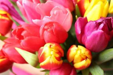 Photo of Beautiful spring tulips as background, closeup view