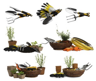 Image of Set of different gardening tools on white background