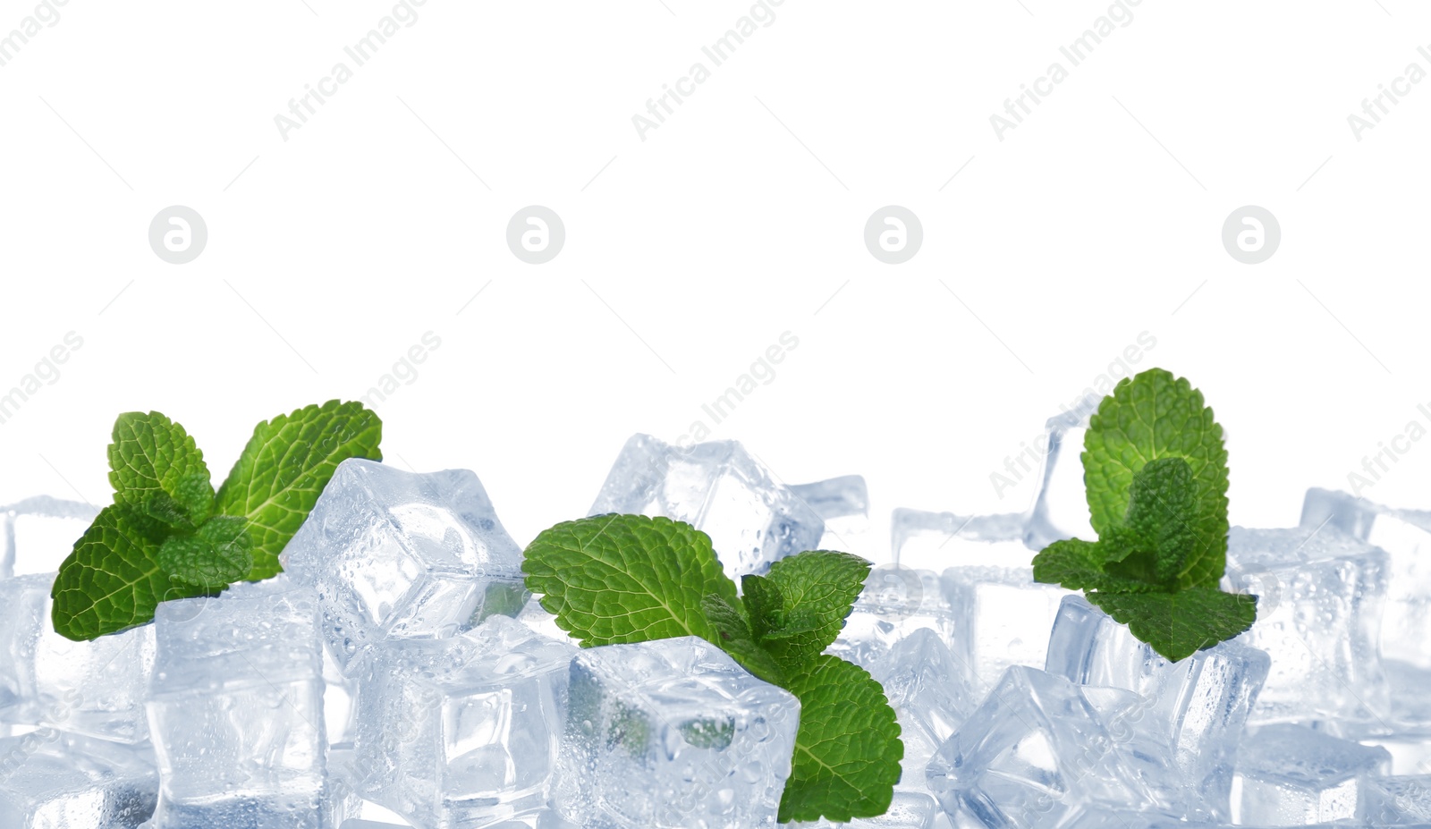 Photo of Ice cubes and mint on white background