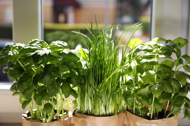 Photo of Different aromatic potted herbs near window indoors, closeup