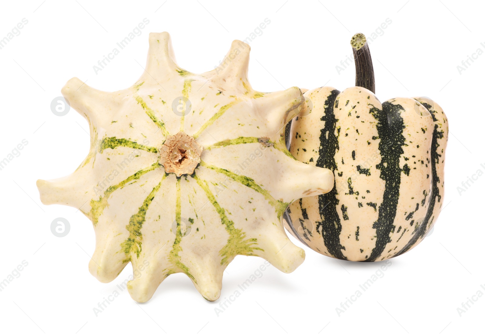 Photo of Two fresh ripe pumpkins isolated on white