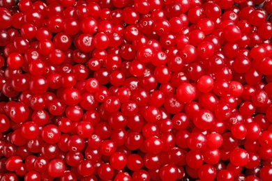 Photo of Fresh ripe cranberries as background, closeup view