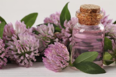 Photo of Beautiful clover flowers and essential oil on white table, closeup