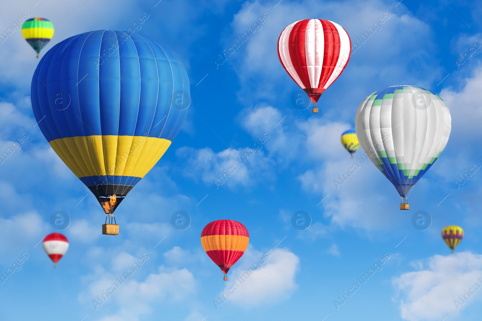 Image of Many bright hot air balloons flying in sky