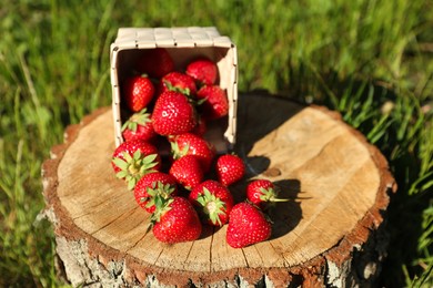 Photo of Basket with scattered ripe strawberries on tree stump outdoors