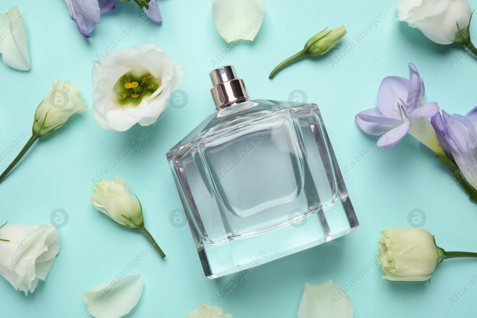 Photo of Flat lay composition of bottle with perfume and flowers on cyan background
