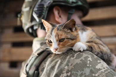 Photo of Ukrainian soldier with little stray cat outdoors, closeup