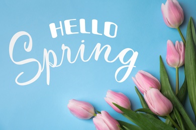 Image of Hello Spring. Beautiful pink tulips on light blue background, flat lay