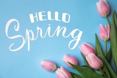 Hello Spring. Beautiful pink tulips on light blue background, flat lay