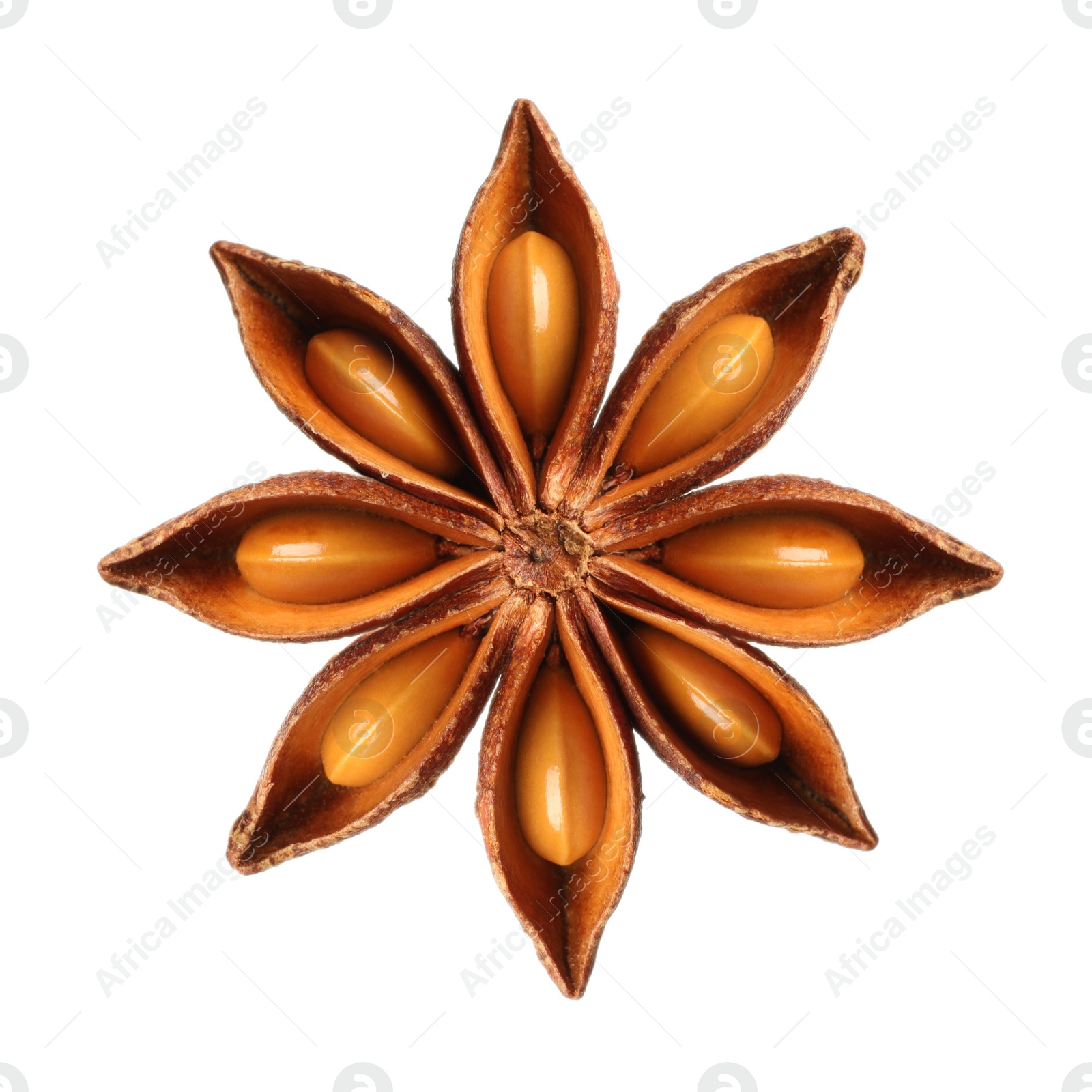 Image of Aromatic dry anise star isolated on white