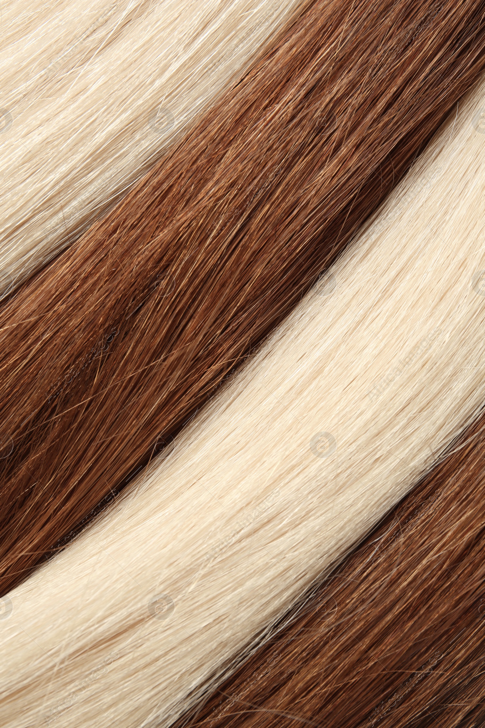 Photo of Strands of different color hair as background, closeup