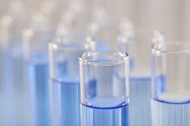 Photo of Laboratory analysis. Many glass test tubes with light blue liquid on blurred background, closeup