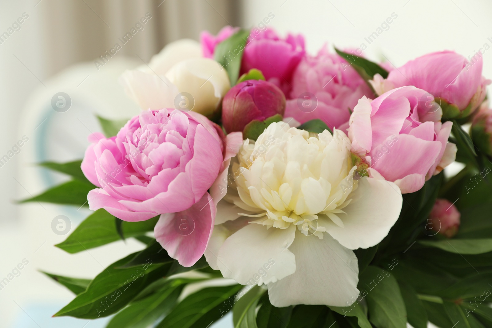 Photo of Bouquet of beautiful peonies on blurred background, closeup