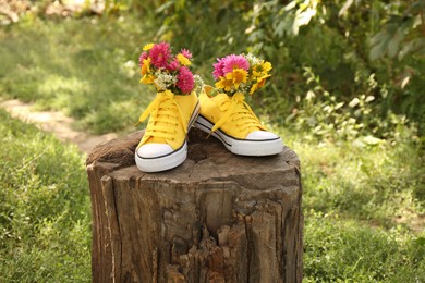 Shoes with beautiful flowers on tree stump outdoors