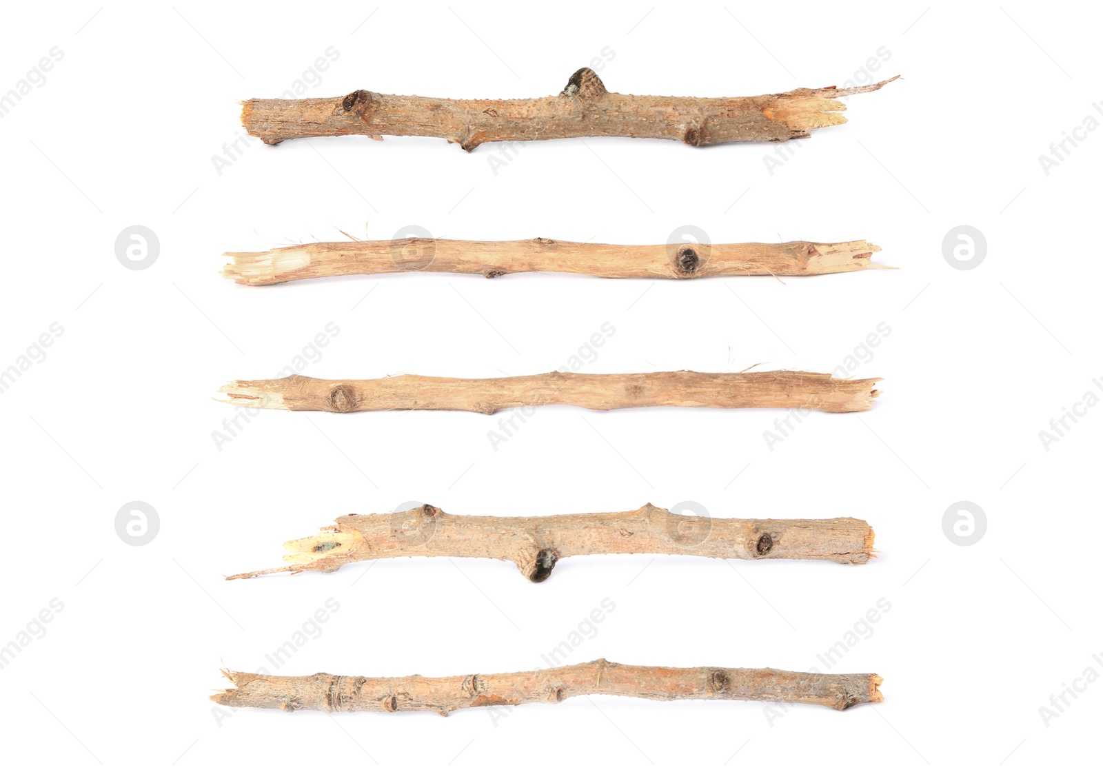 Image of Collage with dry tree twigs on white background, top view