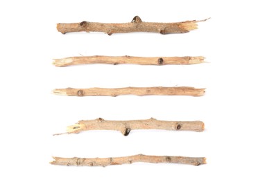 Collage with dry tree twigs on white background, top view