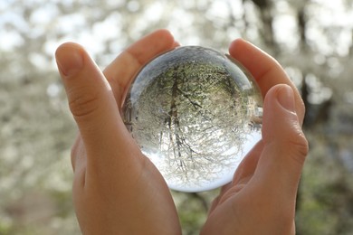 Beautiful tree with white blossoms outdoors, overturned reflection. Man holding crystal ball in spring garden, closeup